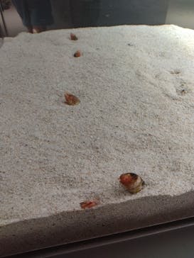 AOAO SAPPOROに投稿された画像（2023/7/21）