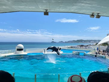 鴨川シーワールドに投稿された画像（2023/7/21）