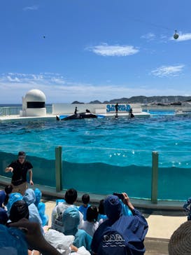 鴨川シーワールドに投稿された画像（2023/7/21）