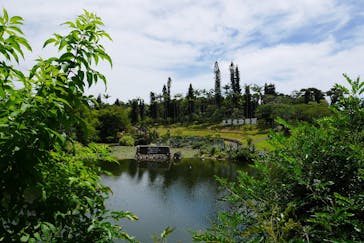 美らヤシパークオキナワ・東南植物楽園に投稿された画像（2023/7/21）