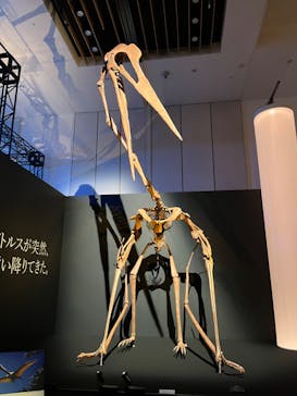 DinoScience 恐竜科学博 2023@TOKYO MIDTOWNに投稿された画像（2023/7/21）