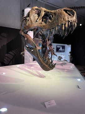 DinoScience 恐竜科学博 2023@TOKYO MIDTOWNに投稿された画像（2023/7/21）
