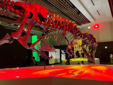 DinoScience 恐竜科学博 2023@TOKYO MIDTOWNに投稿された画像（2023/7/21）