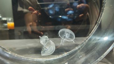 AOAO SAPPOROに投稿された画像（2023/7/21）