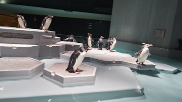 AOAO SAPPOROに投稿された画像（2023/7/21）