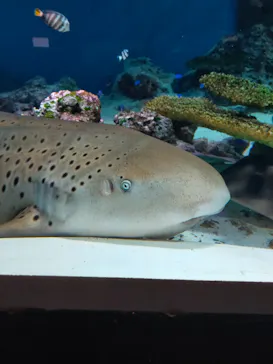 マクセル アクアパーク品川に投稿された画像（2023/7/21）