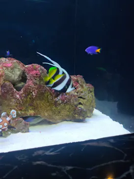 マクセル アクアパーク品川に投稿された画像（2023/7/21）