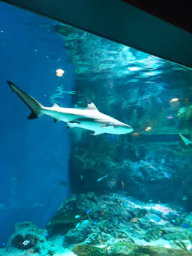 マクセル アクアパーク品川に投稿された画像（2023/7/21）