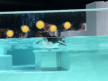 AOAO SAPPOROに投稿された画像（2023/7/21）