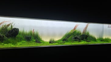 AOAO SAPPOROに投稿された画像（2023/7/21）