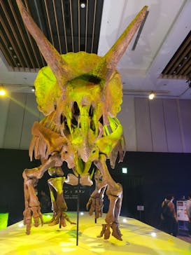 DinoScience 恐竜科学博 2023@TOKYO MIDTOWNに投稿された画像（2023/7/21）