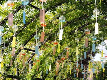 横浜イングリッシュガーデンに投稿された画像（2023/7/21）