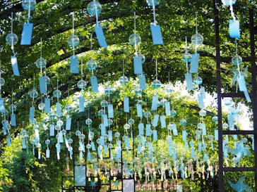 横浜イングリッシュガーデンに投稿された画像（2023/7/21）