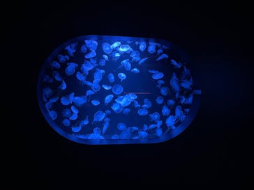 AOAO SAPPOROに投稿された画像（2023/7/21）