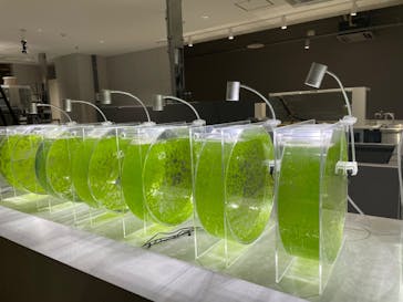 AOAO SAPPOROに投稿された画像（2023/7/21）