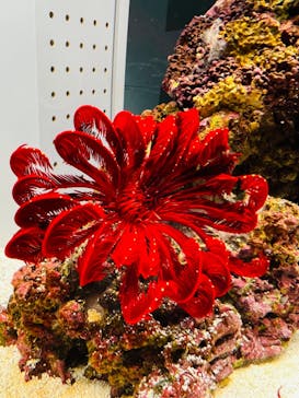 AOAO SAPPOROに投稿された画像（2023/7/21）