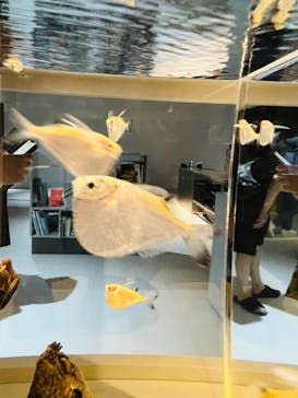 AOAO SAPPOROに投稿された画像（2023/7/21）