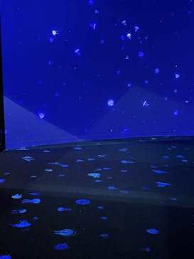 AOAO SAPPOROに投稿された画像（2023/7/21）