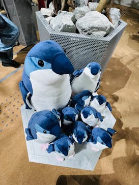 AOAO SAPPOROに投稿された画像（2023/7/21）