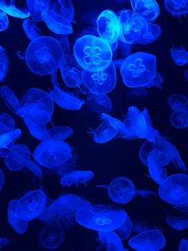 AOAO SAPPOROに投稿された画像（2023/7/21）