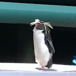 AOAO SAPPOROに投稿された画像（2023/7/21）