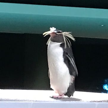 AOAO SAPPOROに投稿された画像（2023/7/21）