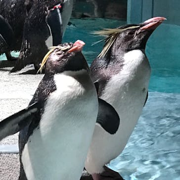 AOAO SAPPOROに投稿された画像（2023/7/21）