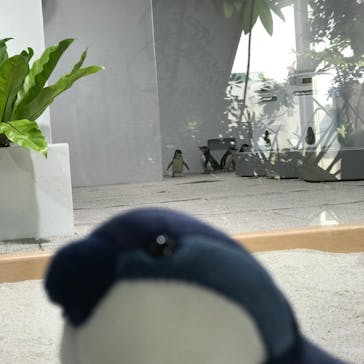 AOAO SAPPOROに投稿された画像（2023/7/21）