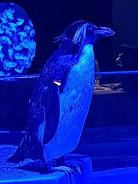 AOAO SAPPOROに投稿された画像（2023/7/21）