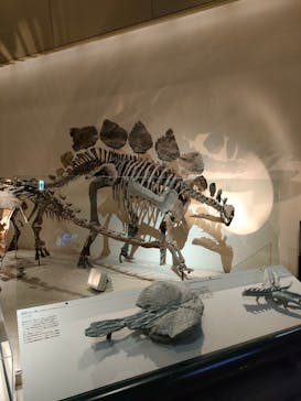 国立科学博物館に投稿された画像（2023/7/21）