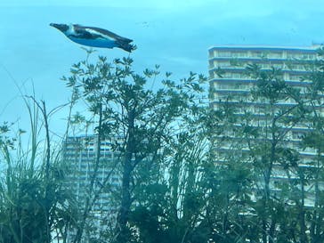 サンシャイン水族館に投稿された画像（2023/7/21）