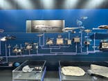 特別展「海　―生命のみなもと―」（国立科学博物館）に投稿された画像（2023/7/22）
