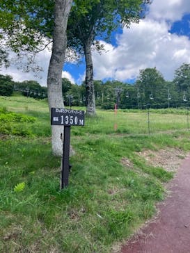 たんばらラベンダーパークに投稿された画像（2023/7/21）