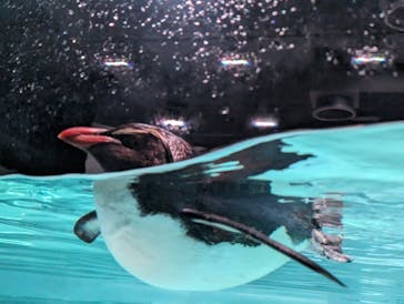 AOAO SAPPOROに投稿された画像（2023/7/21）