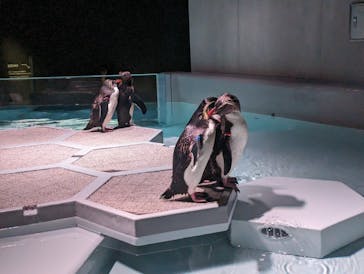 AOAO SAPPOROに投稿された画像（2023/7/21）