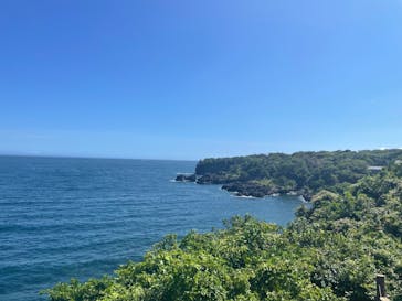 ニューヨークランプミュージアム＆フラワーガーデンに投稿された画像（2023/7/21）