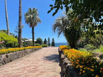 ニューヨークランプミュージアム＆フラワーガーデンに投稿された画像（2023/7/21）