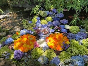 ニューヨークランプミュージアム＆フラワーガーデンに投稿された画像（2023/7/21）