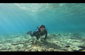 武藤潜水に投稿された画像（2023/7/21）