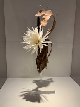 あべのハルカス美術館に投稿された画像（2023/7/22）