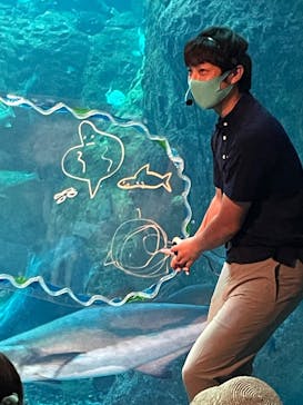 新江ノ島水族館に投稿された画像（2023/7/22）