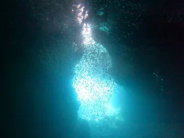 武藤潜水に投稿された画像（2023/7/22）