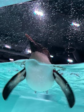 AOAO SAPPOROに投稿された画像（2023/7/22）