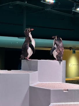 AOAO SAPPOROに投稿された画像（2023/7/22）