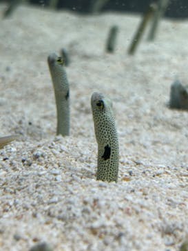 AOAO SAPPOROに投稿された画像（2023/7/22）