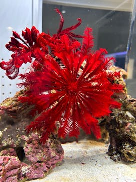 AOAO SAPPOROに投稿された画像（2023/7/22）