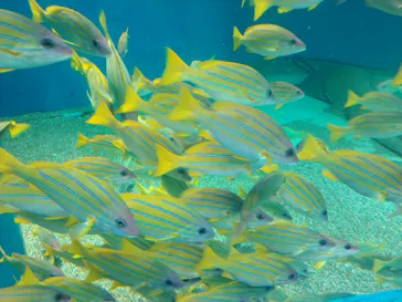 マクセル アクアパーク品川に投稿された画像（2023/7/22）