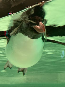 AOAO SAPPOROに投稿された画像（2023/7/22）