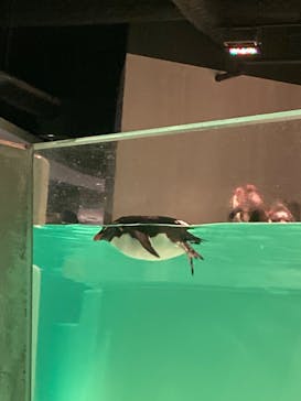 AOAO SAPPOROに投稿された画像（2023/7/22）