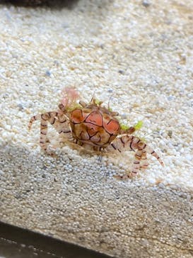 AOAO SAPPOROに投稿された画像（2023/7/22）